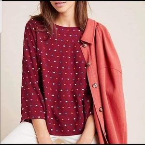 NWOT Maeve embroidered dots top
